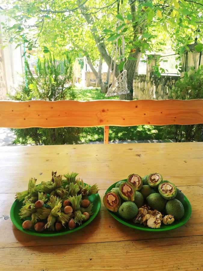 Guest House Nataly Yeghegnadzor ภายนอก รูปภาพ